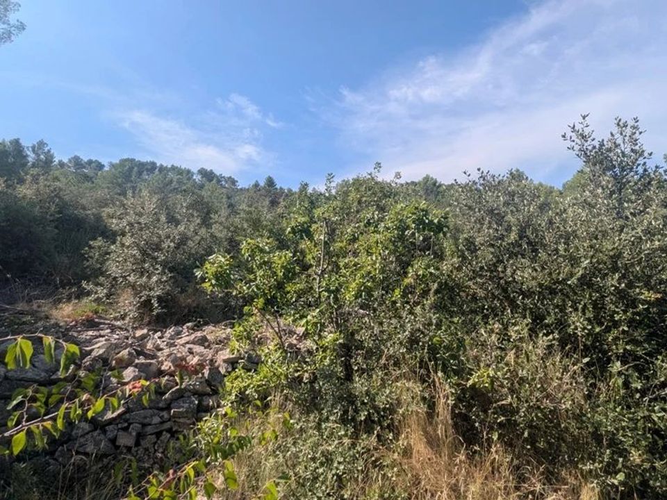 Działka: Carcès, Var – zdjęcie 5