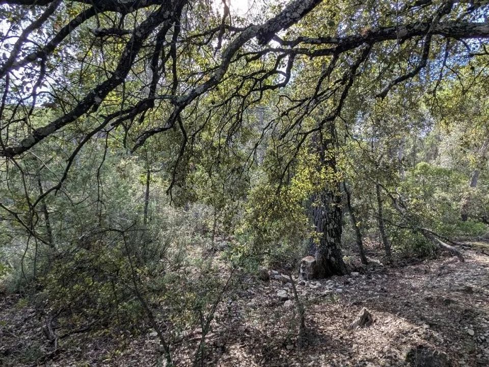 Działka: Carcès, Var – zdjęcie 3