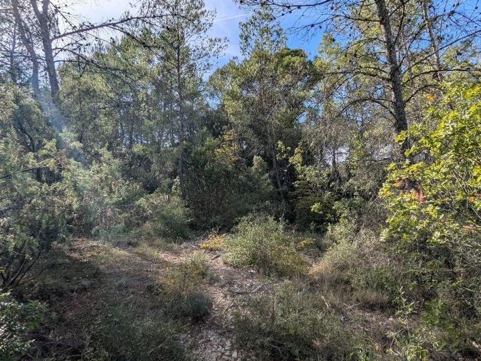 Działka: Carcès, Var – zdjęcie 4
