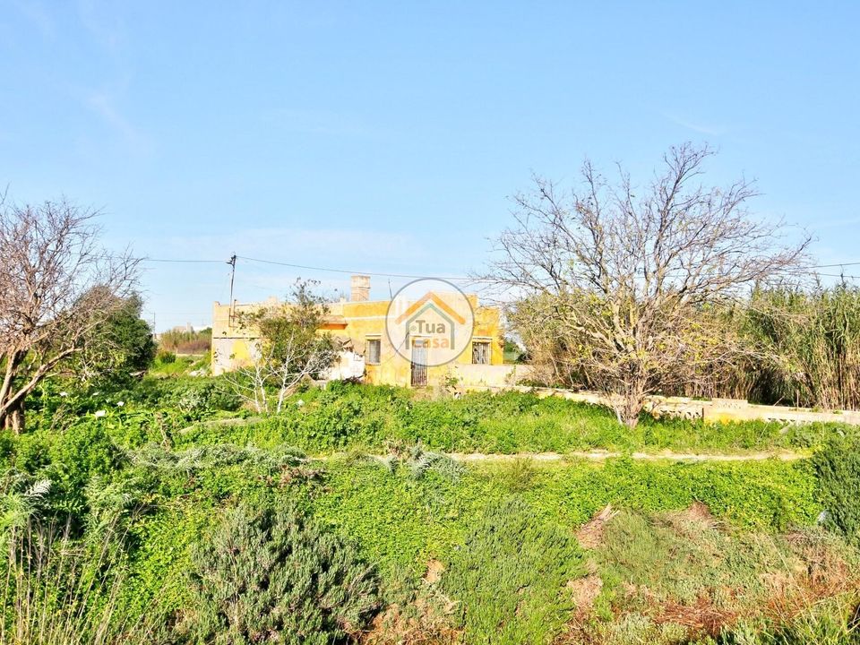 Farm i Olhao, Faro - foto 3