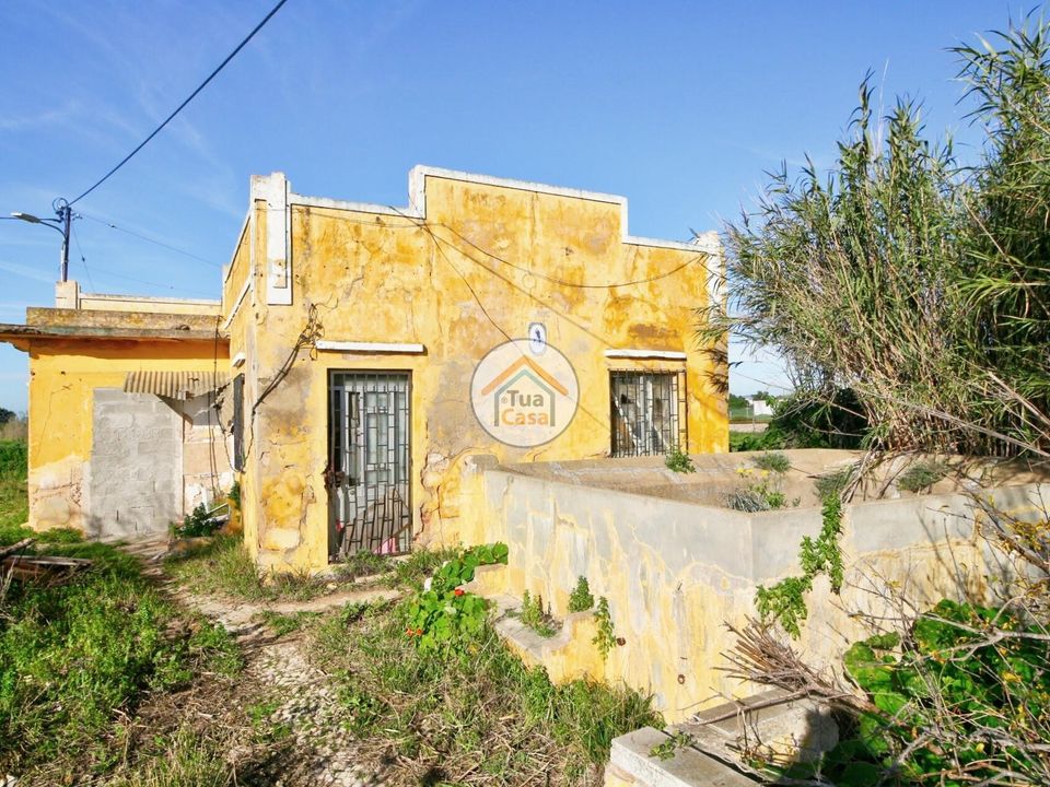 Farm i Olhao, Faro - foto 4