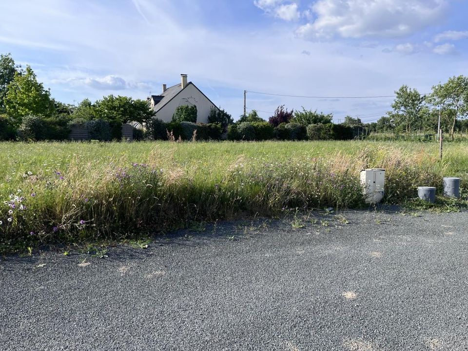 Terra a Montrelais, Loire-Atlantique - foto 3
