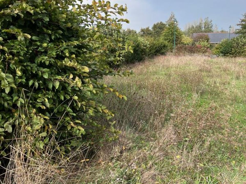Terra a Saint-Vincent-des-Landes, Loire-Atlantique - foto 2