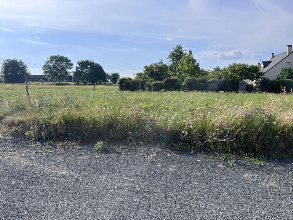 Tomt i Trans-sur-Erdre, Loire-Atlantique - bilde 3