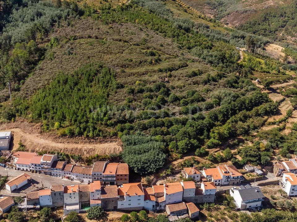 Erhvervsejendom i Fundao, Castelo Branco - foto 1