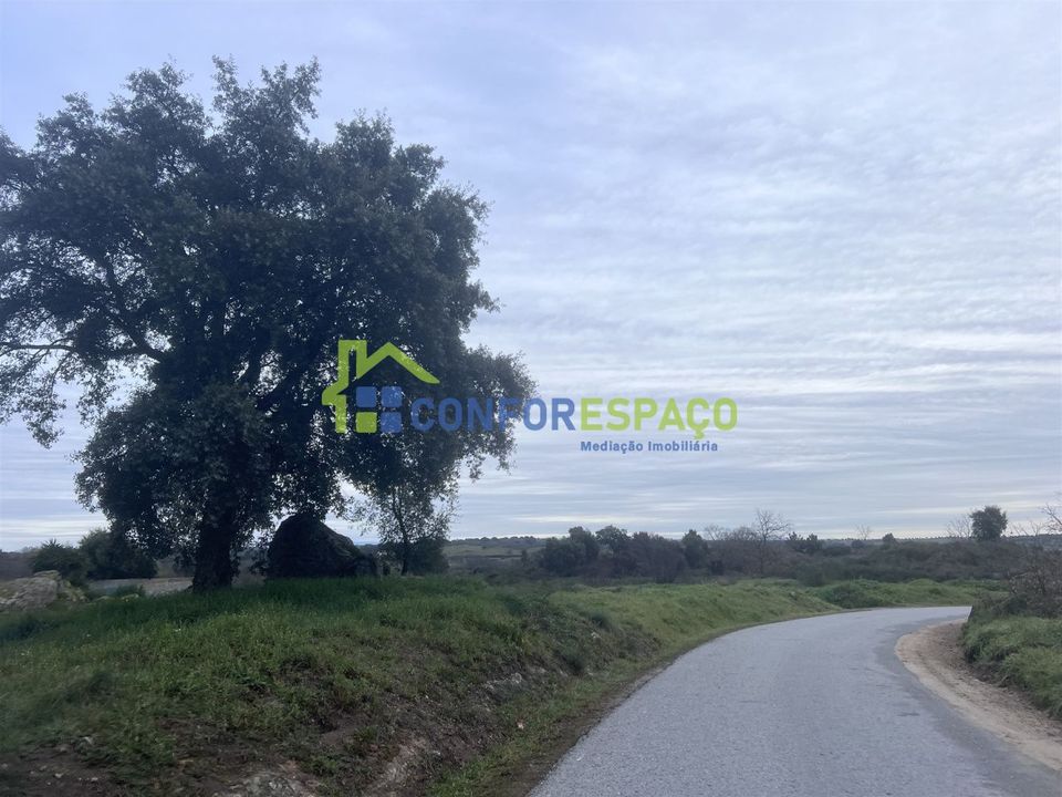 Helårsgrund i Castelo Branco, Castelo Branco - foto 4