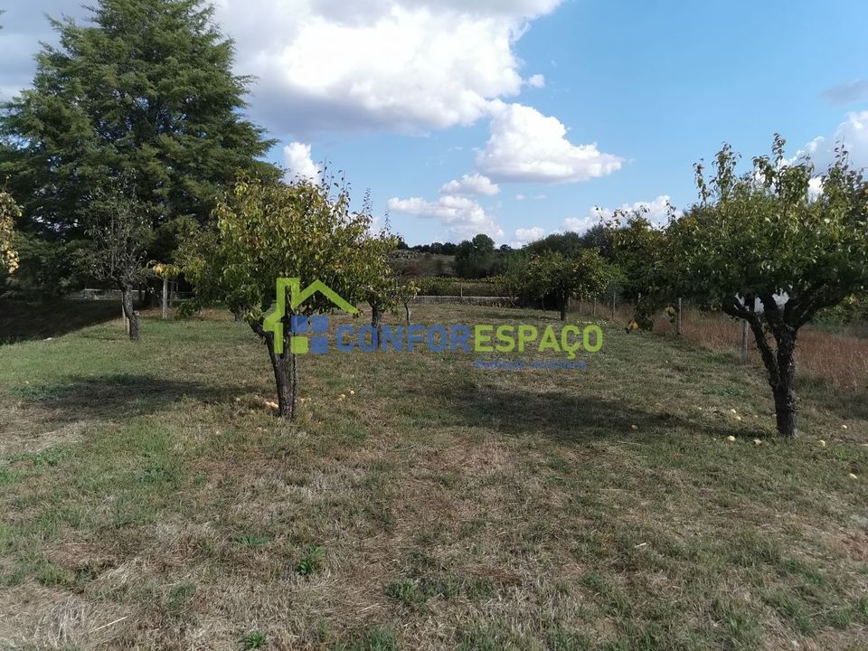 Landejendom i Castelo Branco, Castelo Branco - foto 2