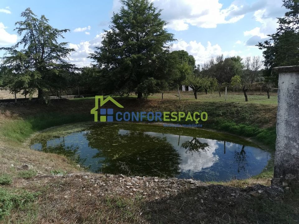 Landejendom i Castelo Branco, Castelo Branco - foto 3