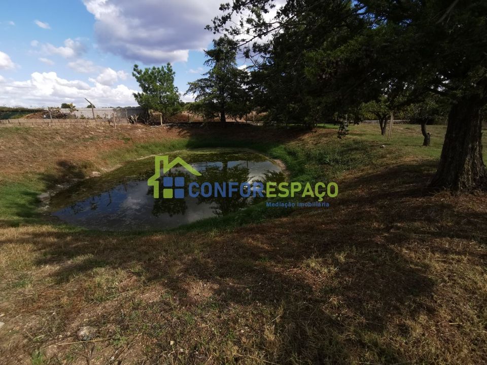 Landejendom i Castelo Branco, Castelo Branco - foto 5