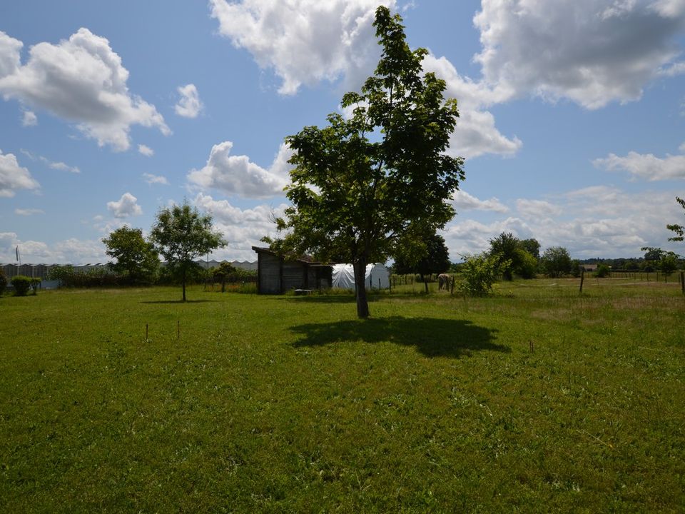 Landejendom i Monsegur, Lot-et-Garonne - foto 5