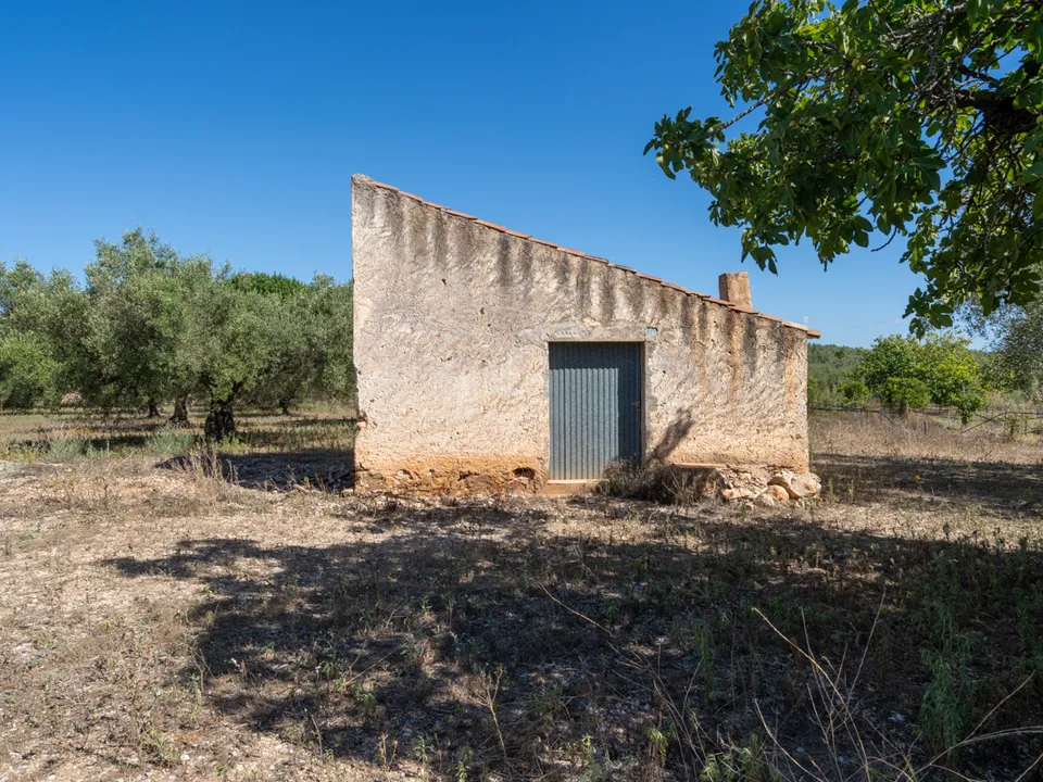 Finca i La Galera, Tarragona - foto 3