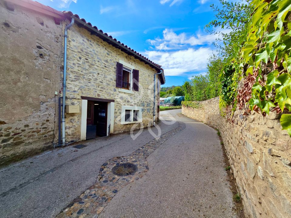 Landsbyhus i Lavaudieu, Haute-Loire - foto 2