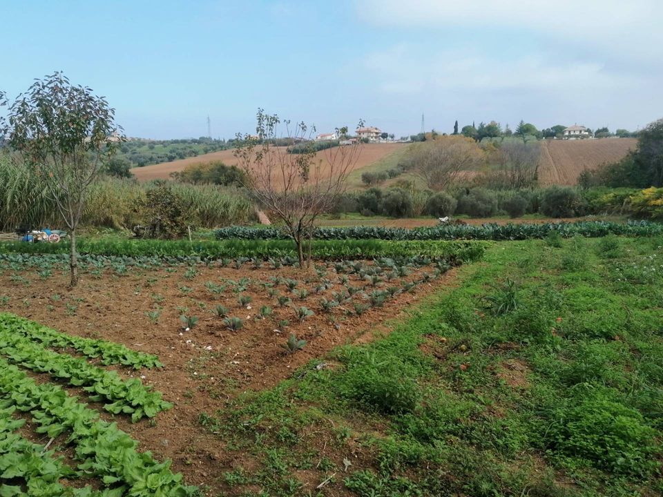 Helårsgrund i Giulianova, Teramo - foto 5