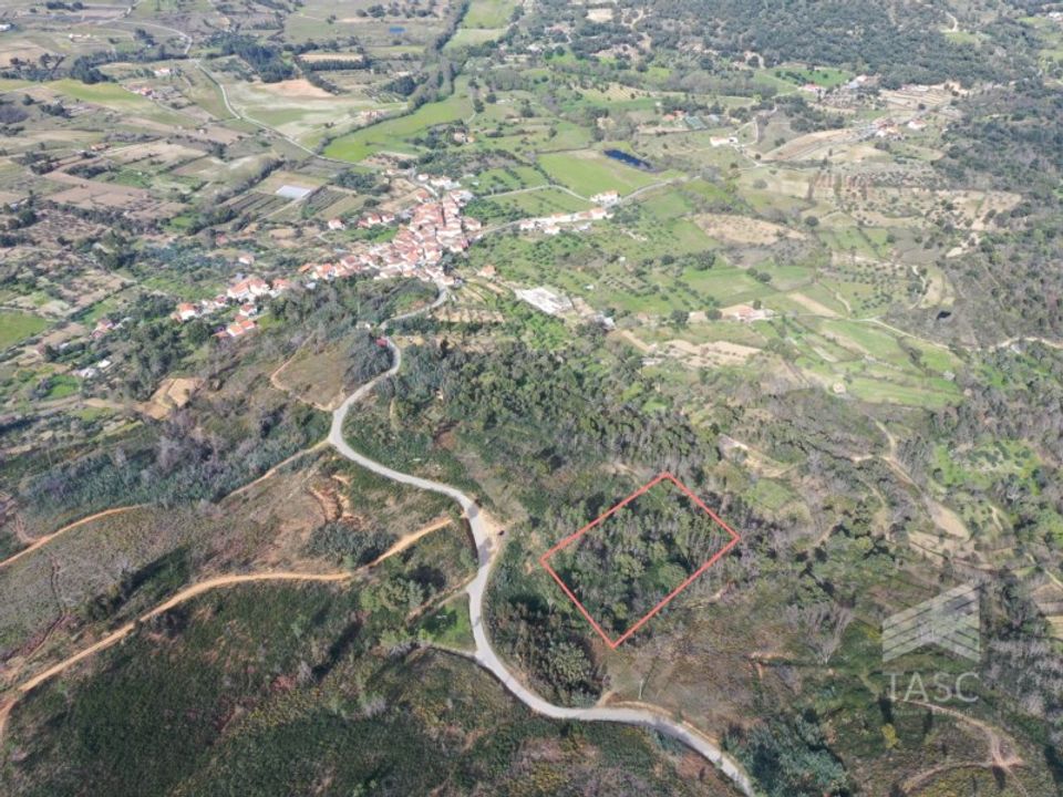 Helårsgrund i Fundao, Castelo Branco - foto 3