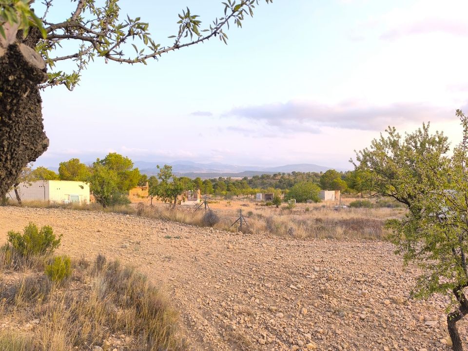 Helårsgrund i Pinoso, Alicante - foto 4
