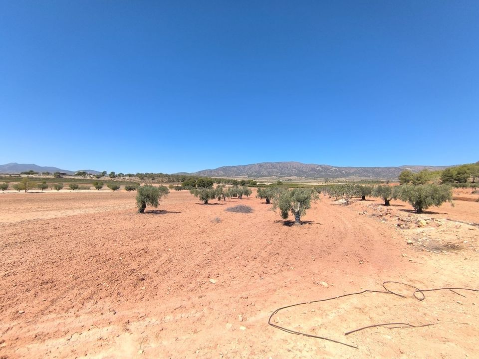 Helårsgrund i Monovar, Alicante - foto 2