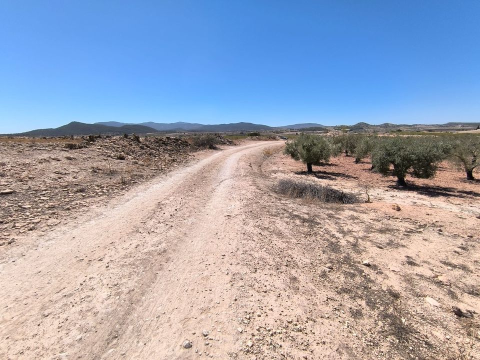 Helårsgrund i Monovar, Alicante - foto 3
