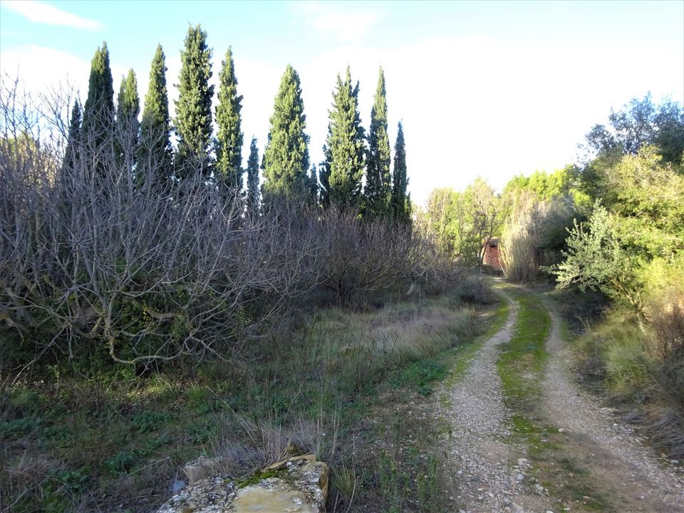 Finca a Caspe, Zaragoza - foto 2