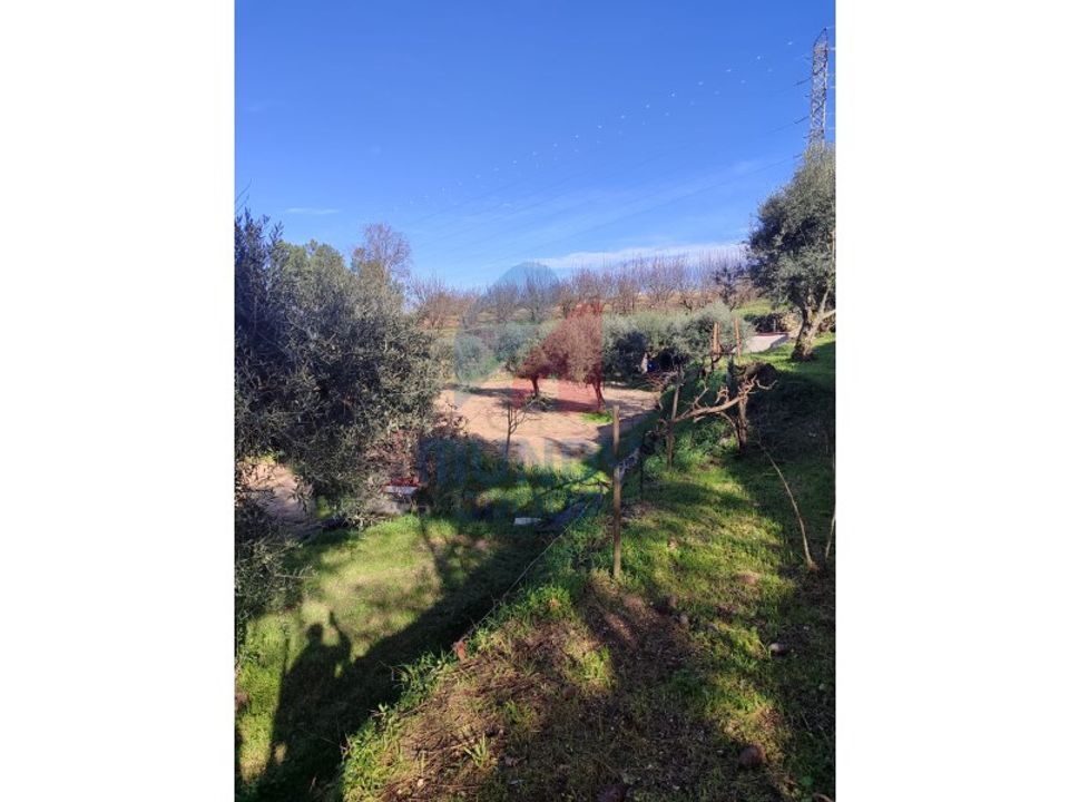 Farm i Ferro, Castelo Branco - foto 1
