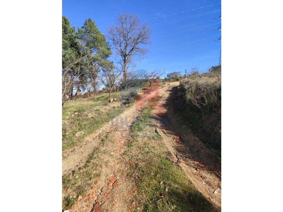 Farm i Ferro, Castelo Branco - foto 2