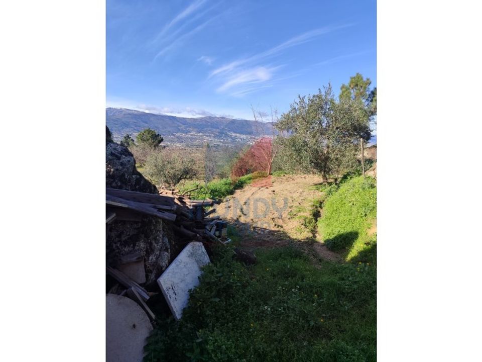 Farm i Ferro, Castelo Branco - foto 4