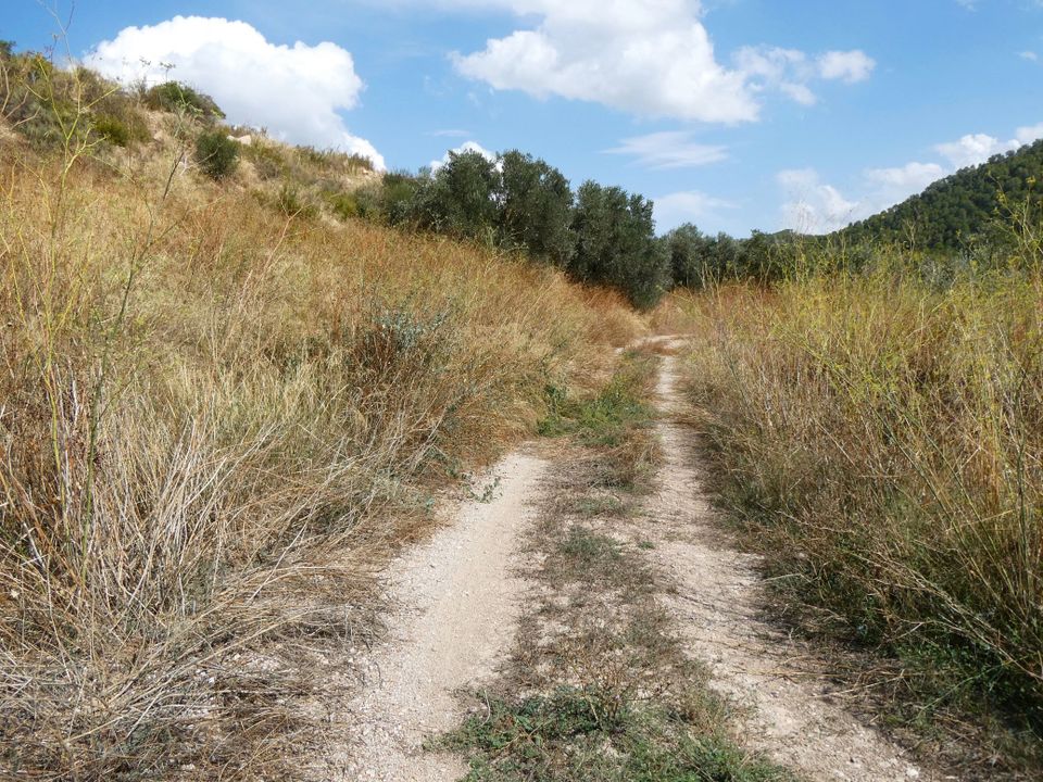 Finca en Caseres, Tarragona - foto 3