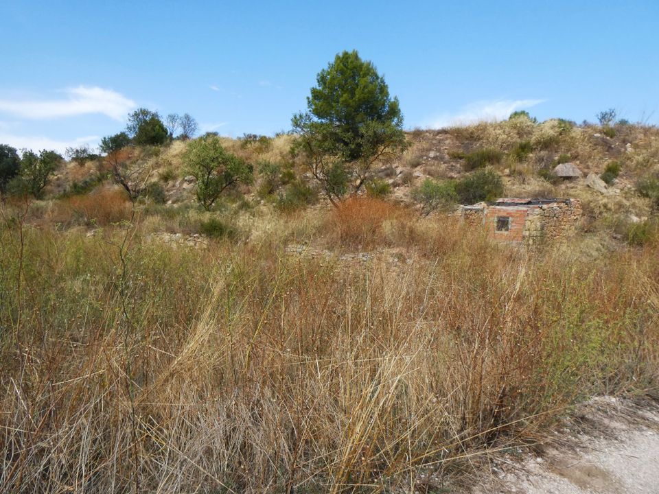 Finca en Caseres, Tarragona - foto 5
