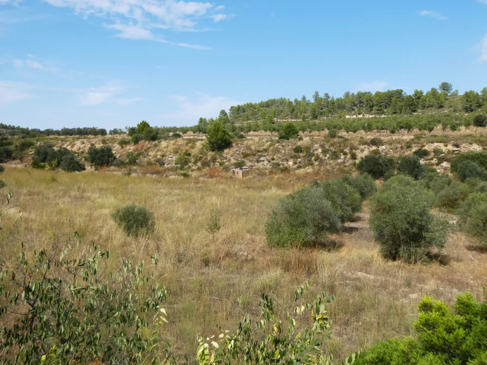 Finca en Caseres, Tarragona - foto 2