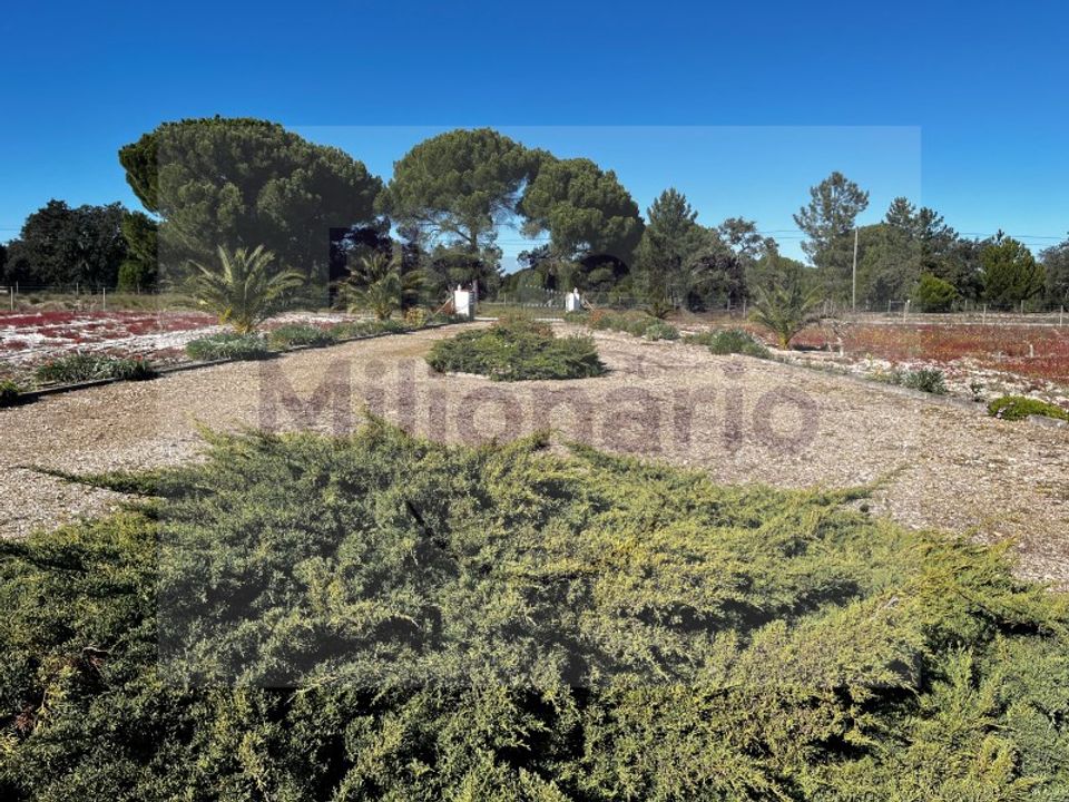 Landejendom i Torrao, Setubal - foto 3