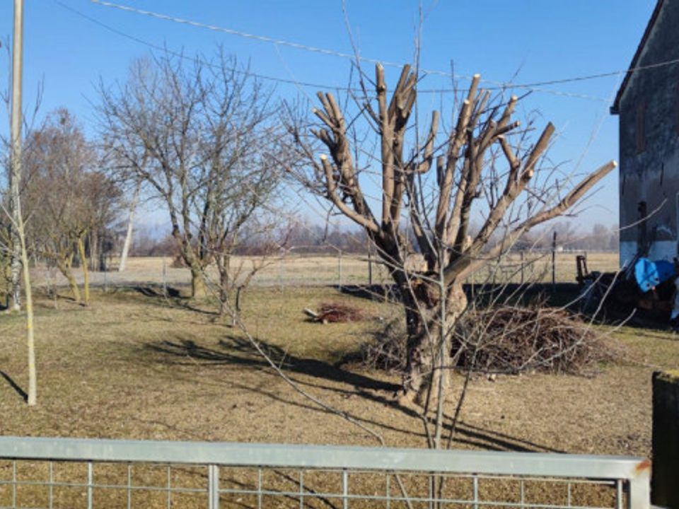 Landejendom i Castelfranco Veneto, Treviso - foto 4