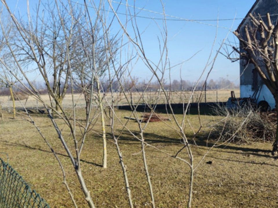 Landejendom i Castelfranco Veneto, Treviso - foto 5