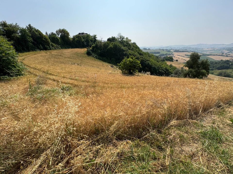Landejendom i Ponzano Di Fermo, Fermo - foto 5
