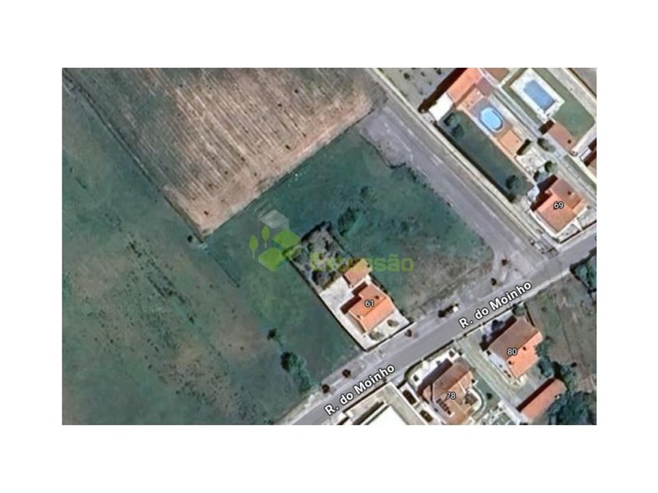 Tomt i Cartaxo, Santarem - bilde 4