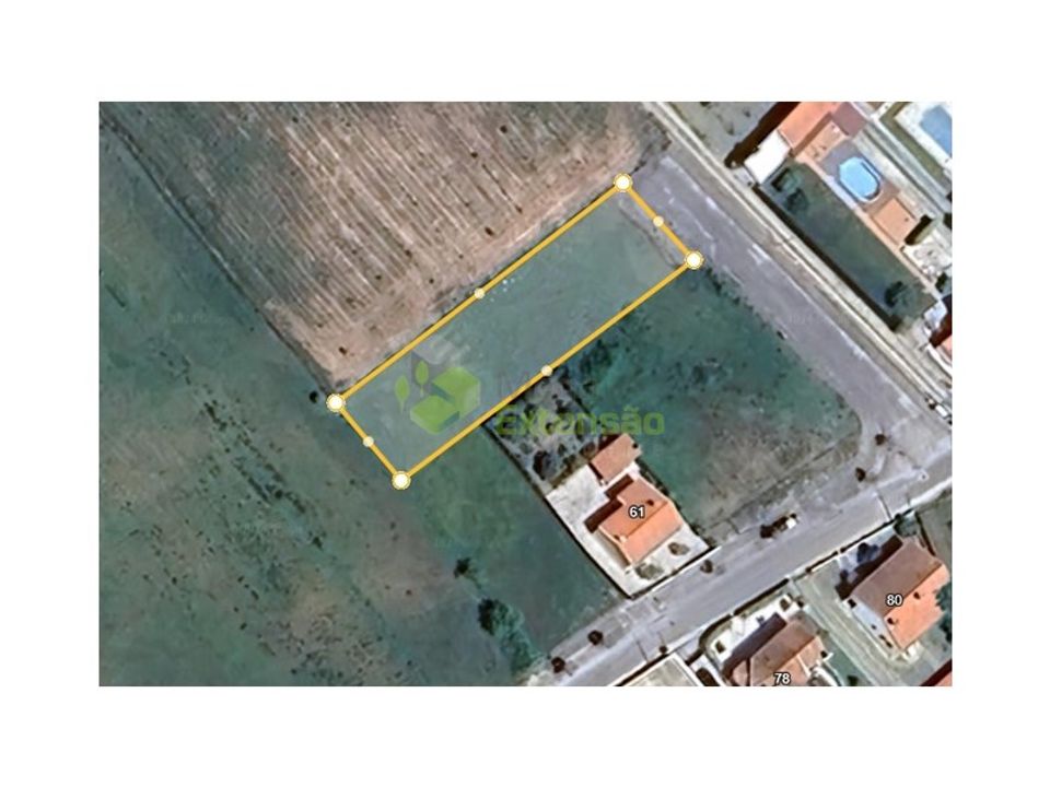 Tomt i Cartaxo, Santarem - bilde 5