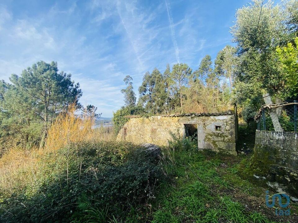 Byhus i Vila Nova de Cerveira, Viana do Castelo - foto 3