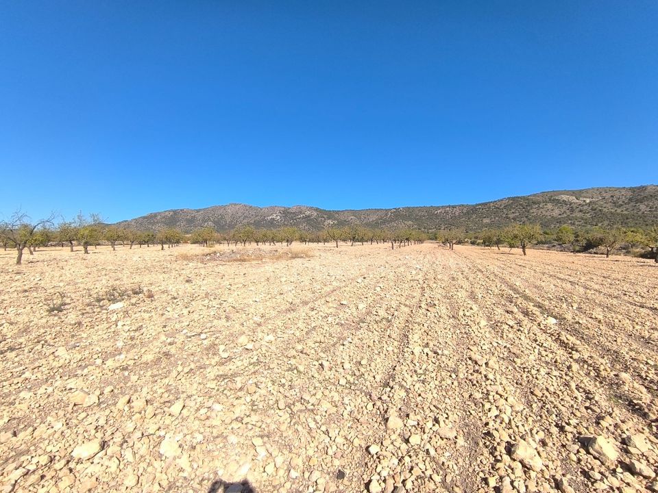 Helårsgrund i Monovar, Alicante - foto 1