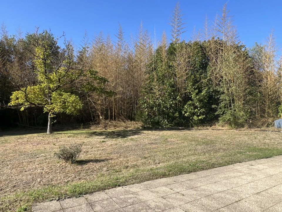 Villa i Marval, Haute-Vienne - foto 2