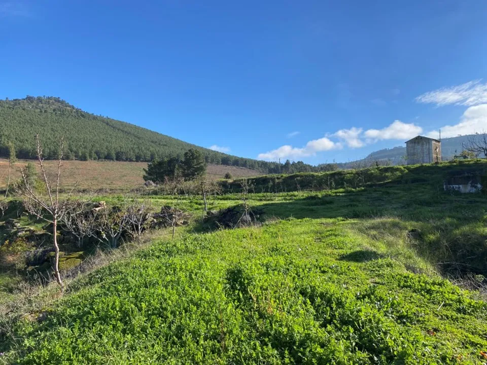 Farm i Felgar e Souto da Velha, Braganca - foto 3
