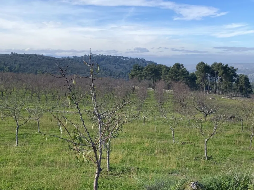 Farm i Felgar e Souto da Velha, Braganca - foto 4