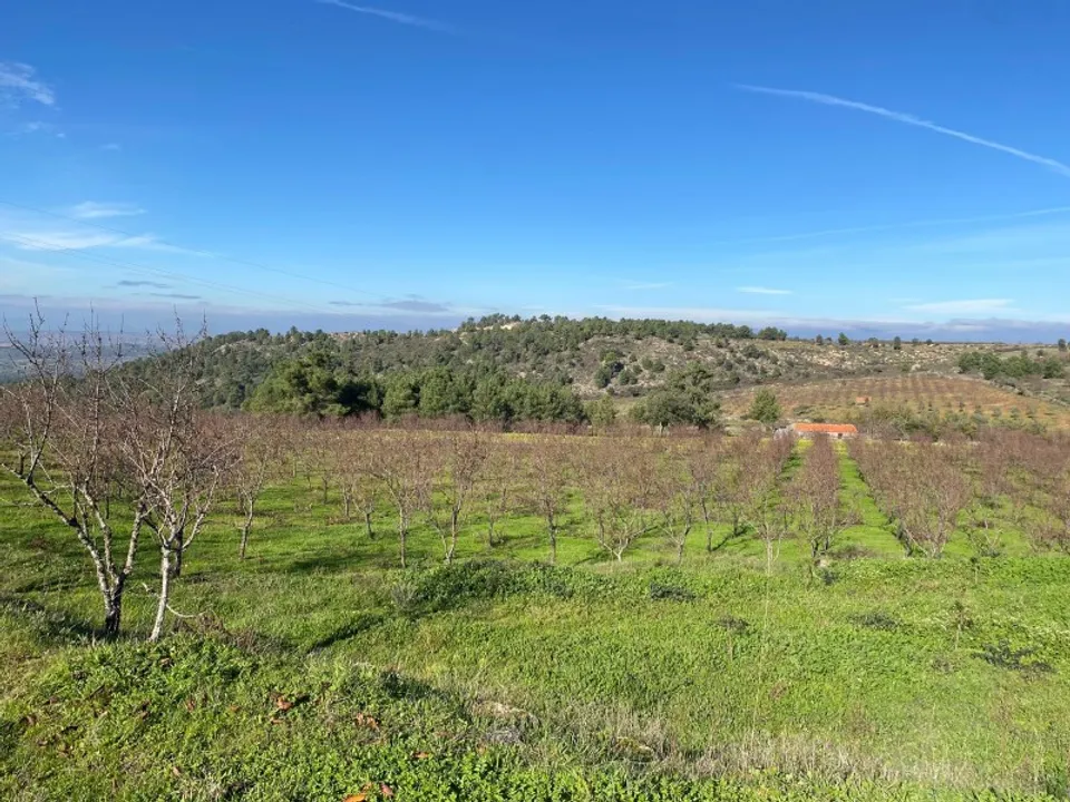 Farm i Felgar e Souto da Velha, Braganca - foto 1