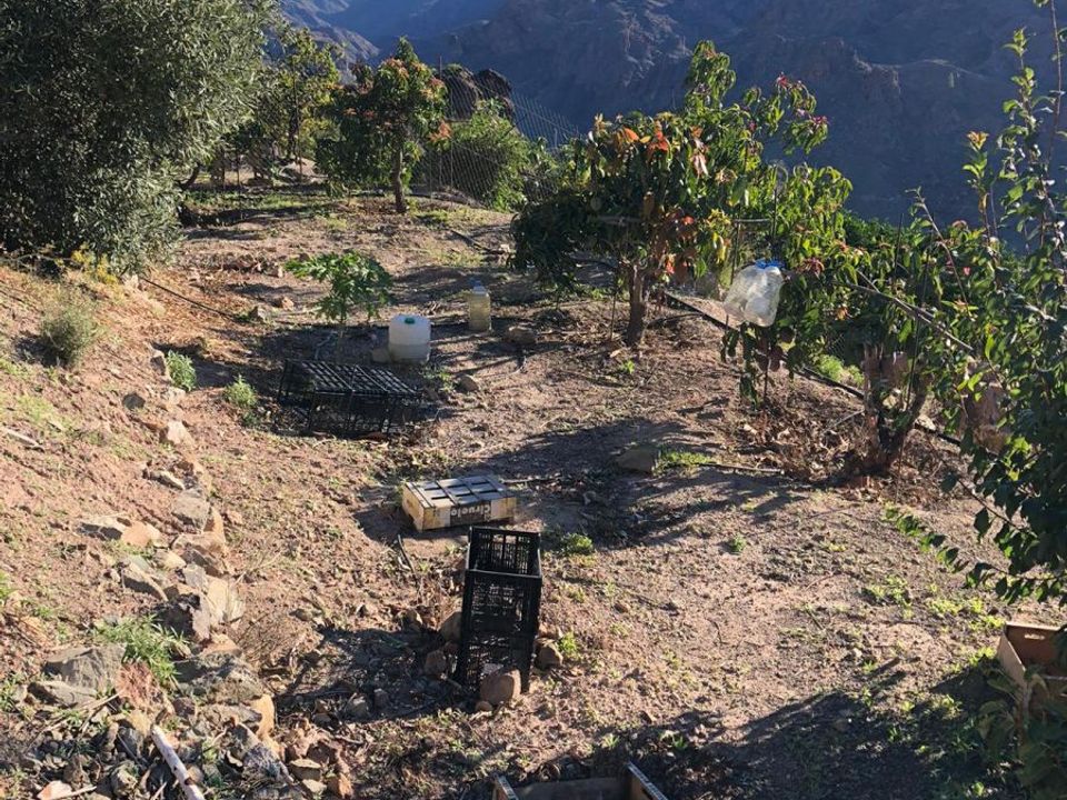 Terra a Mogan, Gran Canaria - foto 3