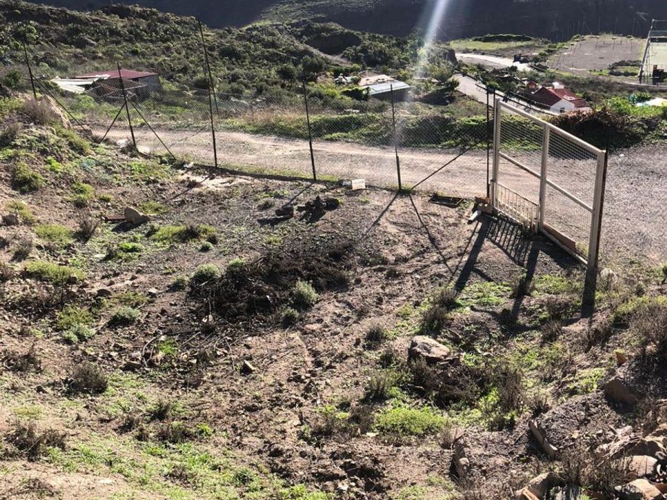 Terra a Mogan, Gran Canaria - foto 5