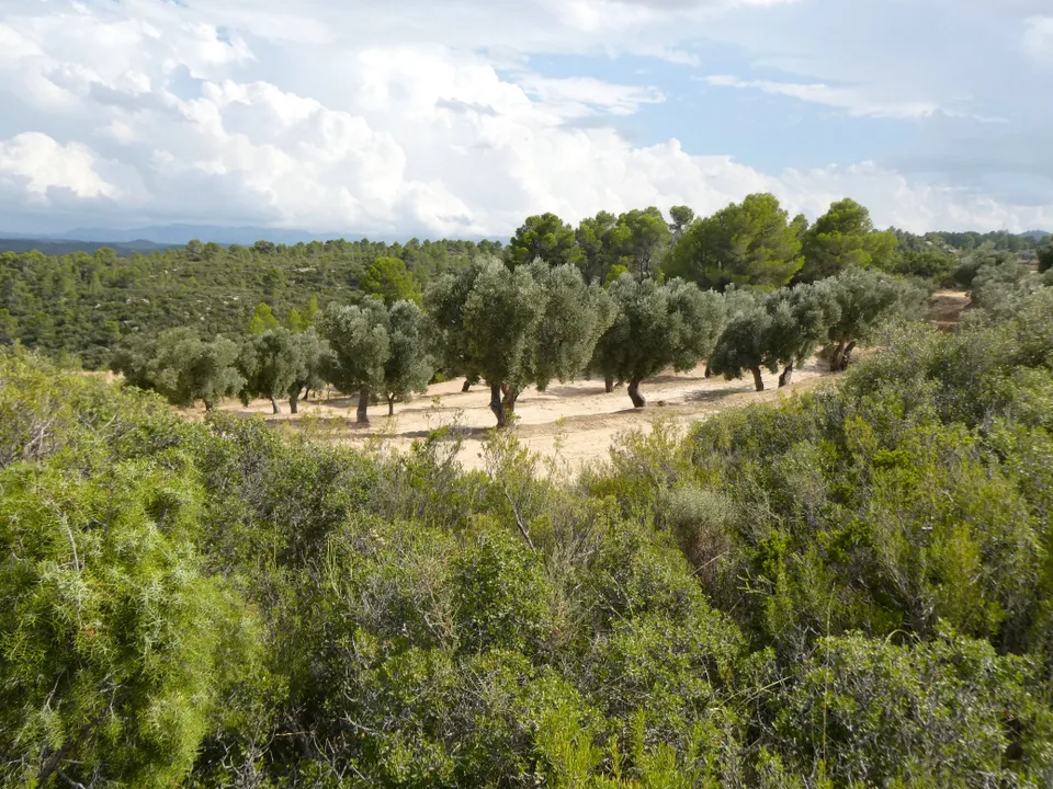 Finca i Calaceite, Teruel - foto 2