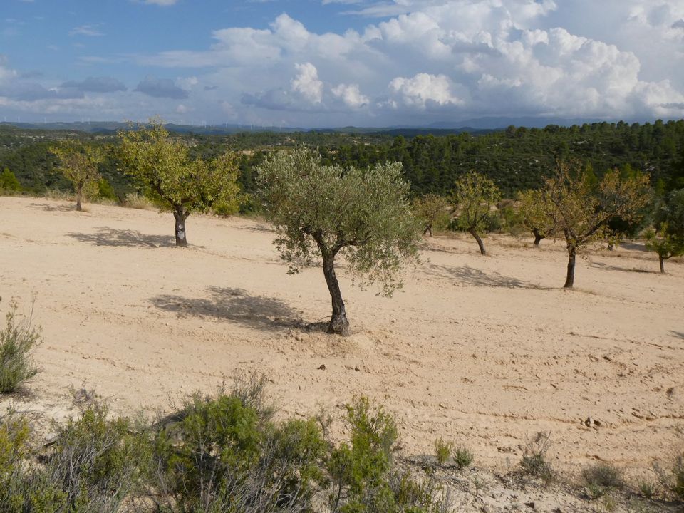 Finca i Calaceite, Teruel - foto 3