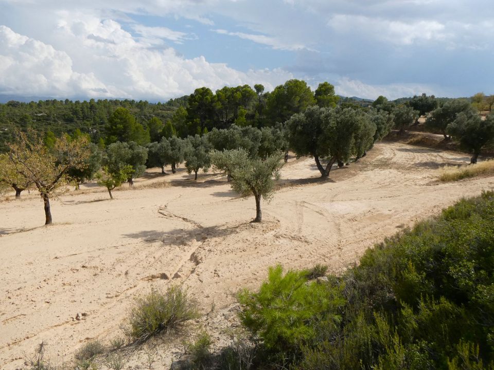 Finca i Calaceite, Teruel - foto 5