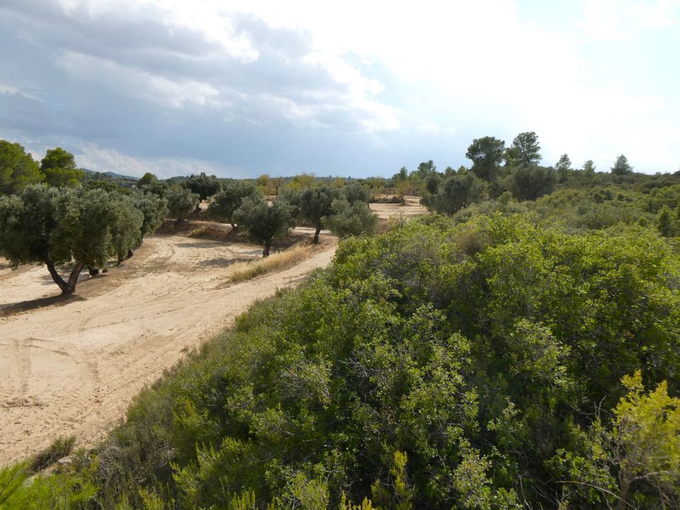 Finca i Calaceite, Teruel - foto 4