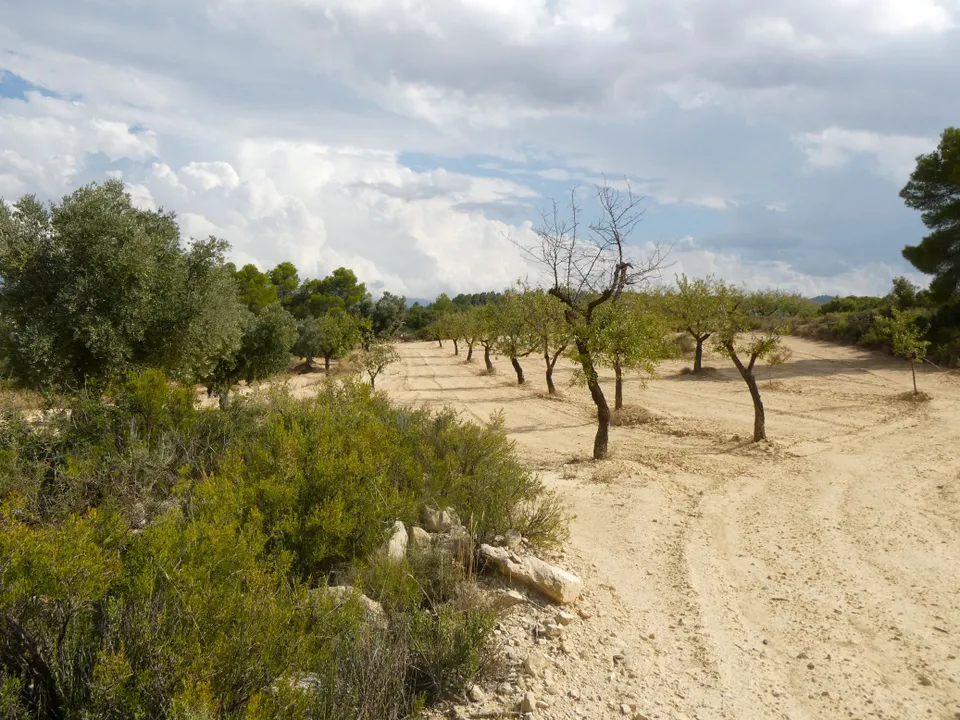 Finca i Calaceite, Teruel - foto 1