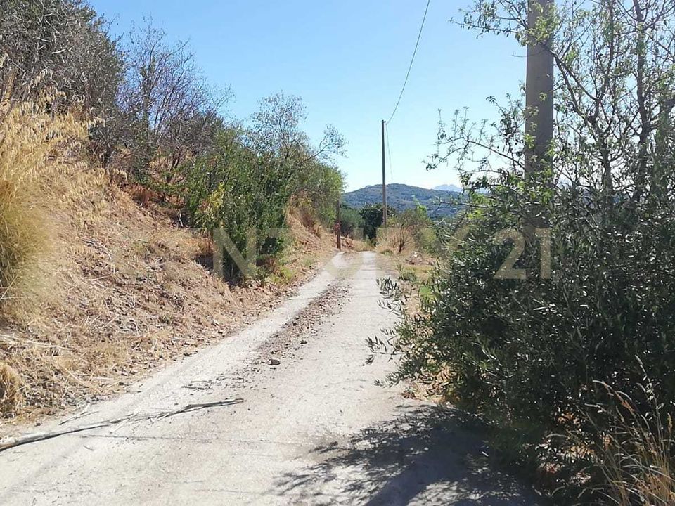 Erhvervsejendom i Piana degli Albanesi, Palermo - foto 4