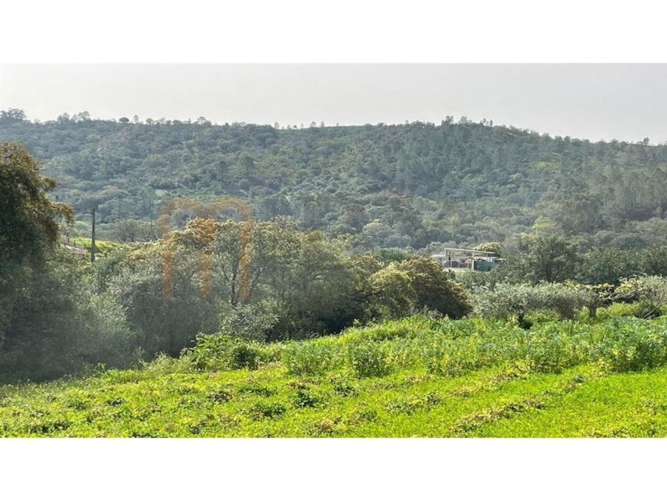 Helårsgrund i Benafim, Faro - foto 3