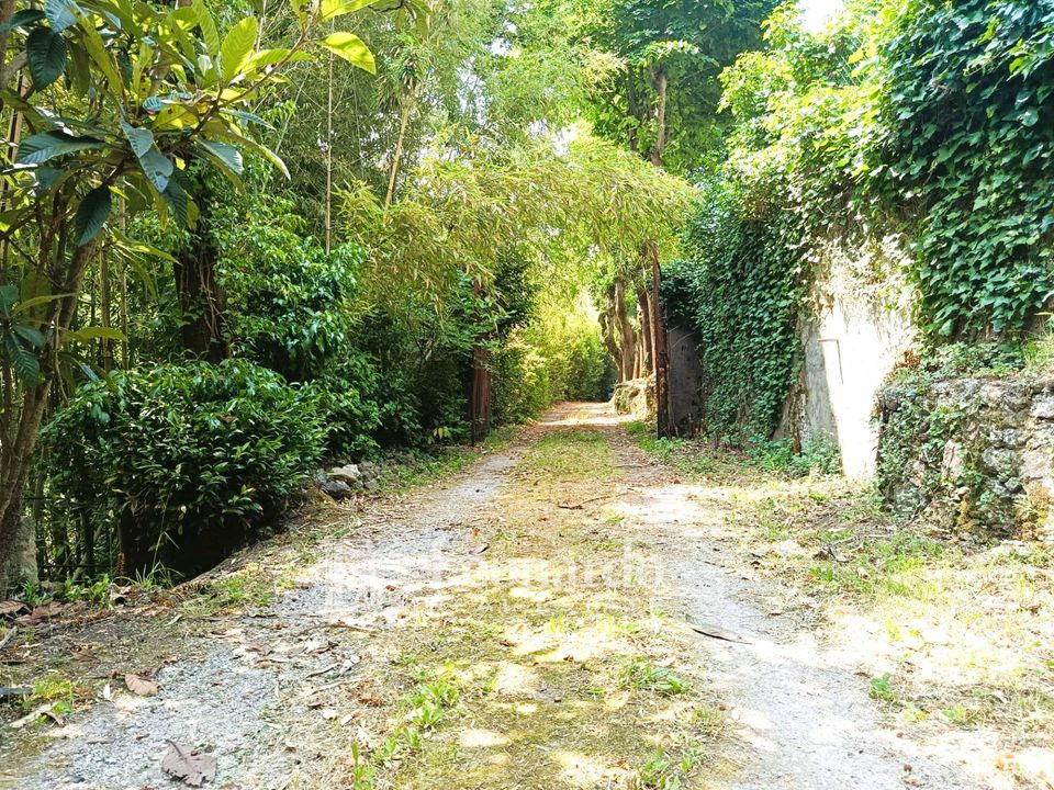 Villa en Camaiore, Lucca - foto 1